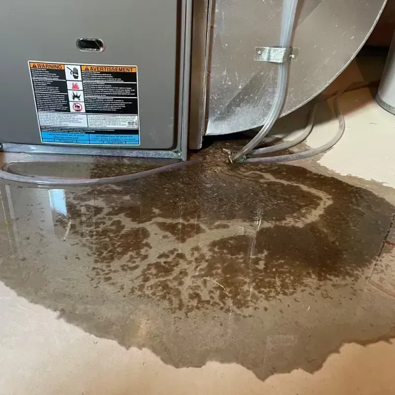 Appliance Leak Cleanup in Loving County, TX